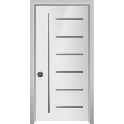 דלת חוץ עם פסי נירוסטה רחבים מאוד  לרוחב בצבע לבן